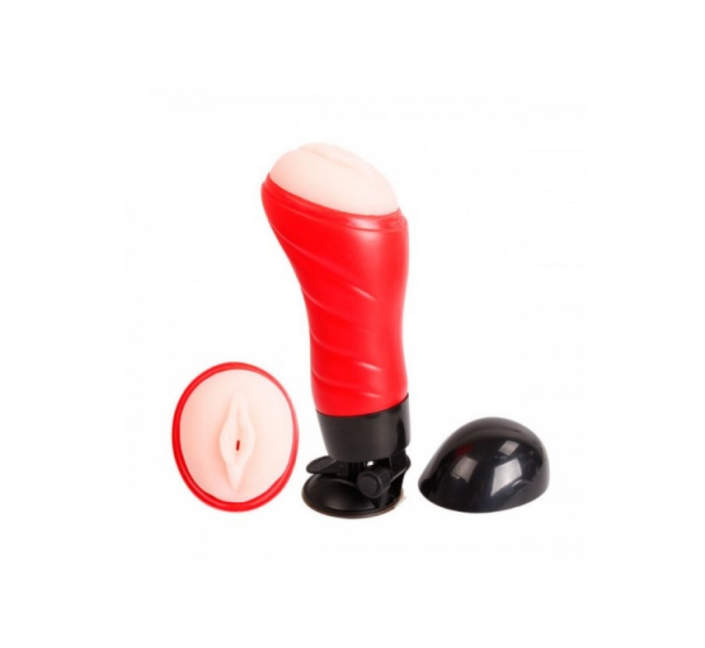 Мастурбатор Baile вагина в тубе с присоской,12 режимов вибраций, Crazy Bull Delia