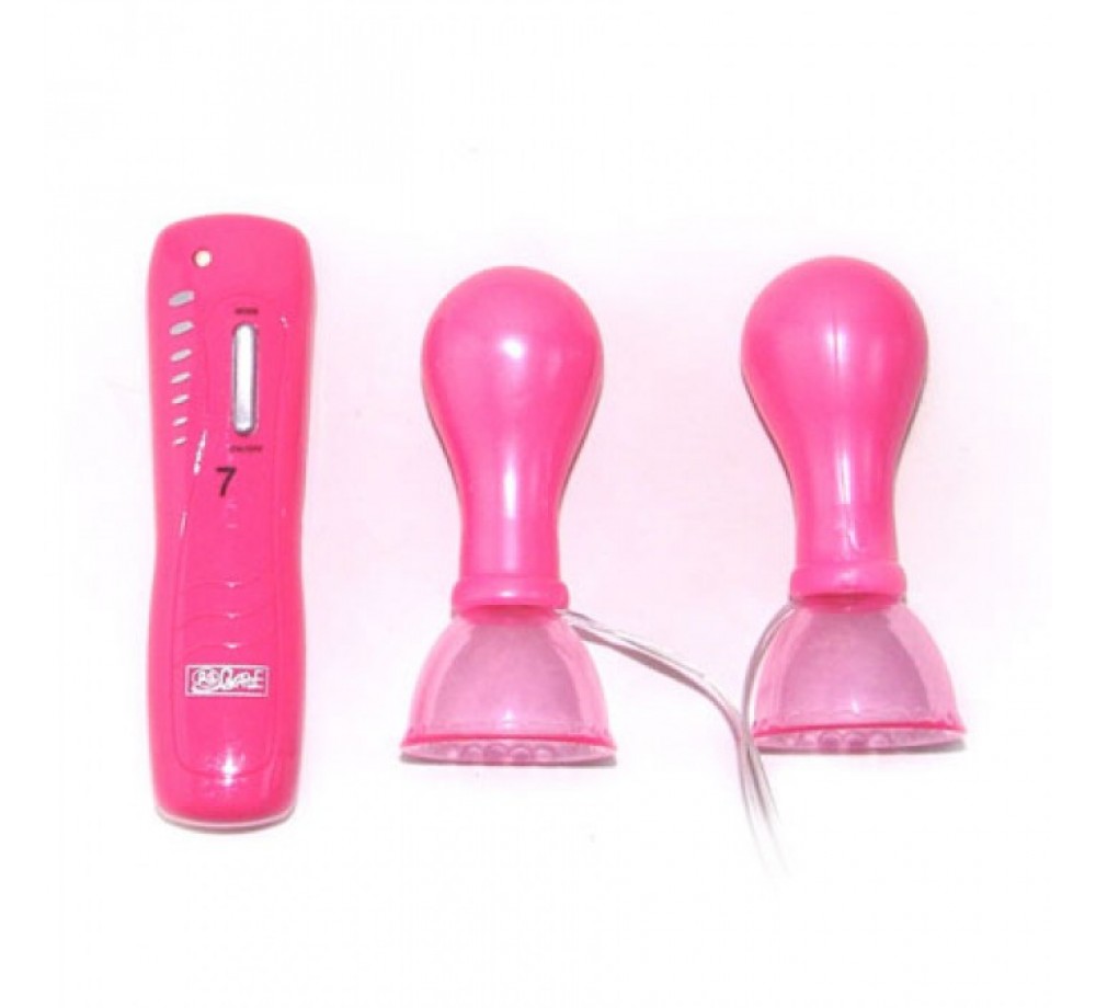 ВАКУУМНЫЕ ПОМПЫ ДЛЯ СОСКОВ BI-036019 ВАКУУМНЫЕ ПОМПЫ ДЛЯ СОСКОВ BI-036019